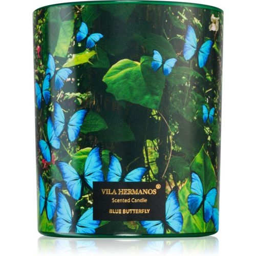 Jungletopia Blue Butterfly Duftkerze 200 g - Vila Hermanos - Modalova