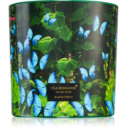 Jungletopia Blue Butterfly Duftkerze 620 g - Vila Hermanos - Modalova