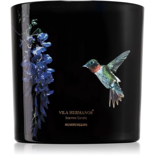 Jungletopia Hummingbird Duftkerze 620 g - Vila Hermanos - Modalova