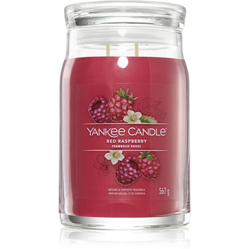 Red Raspberry candela profumata I Signature 567 g - Yankee Candle - Modalova