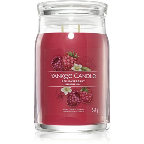 Red Raspberry vela perfumada Signature 567 g - Yankee Candle - Modalova