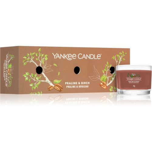 Praline & Birch confezione regalo 3x37 g - Yankee Candle - Modalova