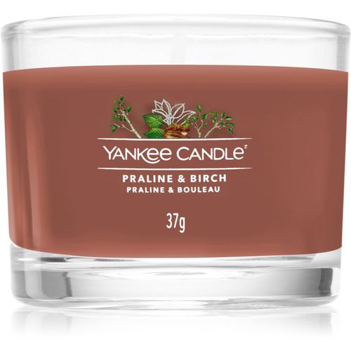 Praline & Birch candela votiva 37 g - Yankee Candle - Modalova