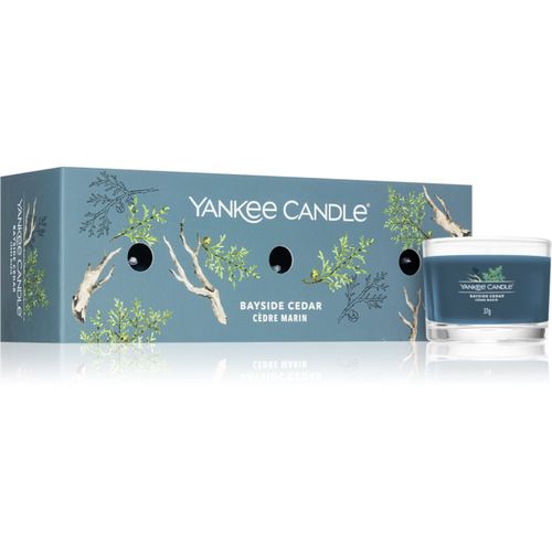 Bayside Cedar Geschenkset - Yankee Candle - Modalova