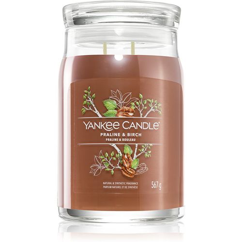 Praline & Birch vela perfumada 567 g - Yankee Candle - Modalova