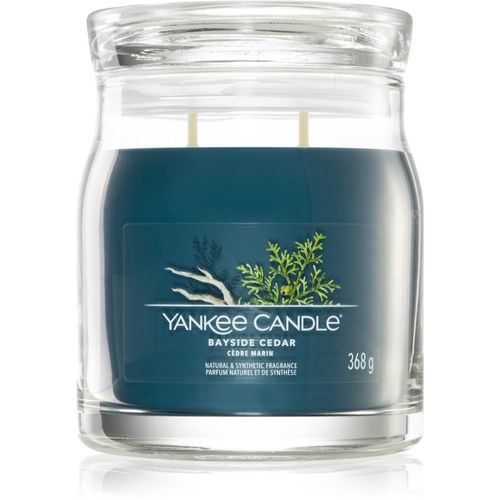 Bayside Cedar candela profumata I 368 g - Yankee Candle - Modalova