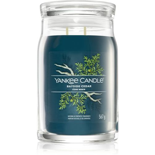 Bayside Cedar vela perfumada I. Signature 567 g - Yankee Candle - Modalova