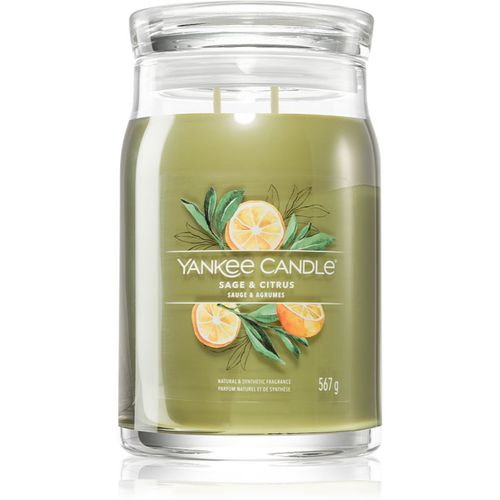 Sage & Citrus vela perfumada Signature 567 g - Yankee Candle - Modalova