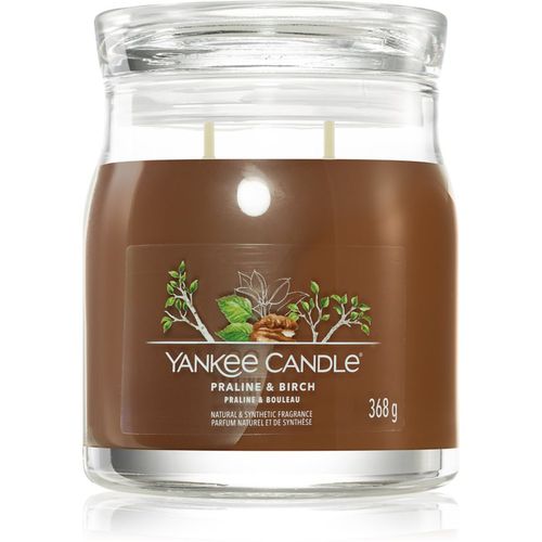 Praline & Birch Duftkerze 368 g - Yankee Candle - Modalova