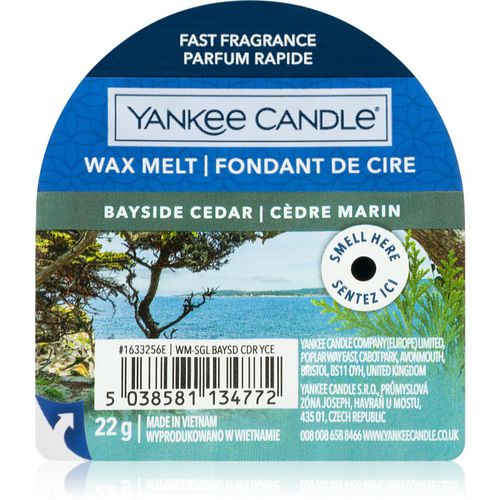 Bayside Cedar cera per lampada aromatica 22 g - Yankee Candle - Modalova