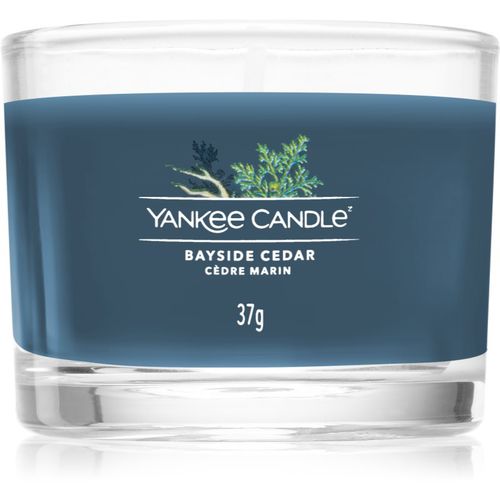 Bayside Cedar candela votiva 37 g - Yankee Candle - Modalova