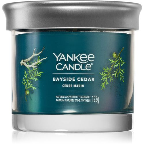 Bayside Cedar candela profumata I 122 g - Yankee Candle - Modalova