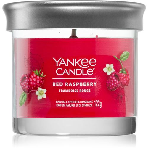 Red Raspberry vela perfumada 122 g - Yankee Candle - Modalova