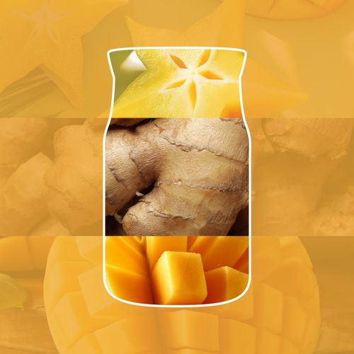 Starfruit & Sunshine vela perfumada 567 g - Yankee Candle - Modalova