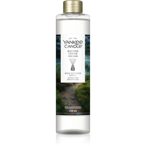 Bayside Cedar recarga para difusor de aromas 250 ml - Yankee Candle - Modalova