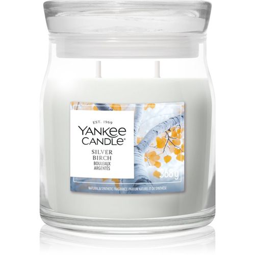 Silver Birch vela perfumada 368 g - Yankee Candle - Modalova