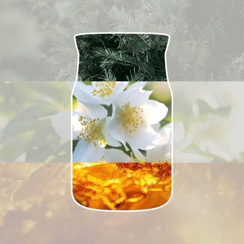 Silver Birch vela perfumada 567 g - Yankee Candle - Modalova