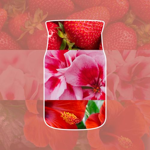 Cliffside Sunrise vela perfumada 567 g - Yankee Candle - Modalova