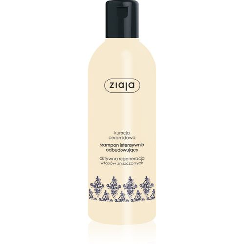 Ceramides Intensives Regenerierungsshampoo 300 ml - Ziaja - Modalova