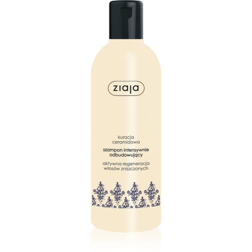 Ceramides shampoo rigenerante intenso 300 ml - Ziaja - Modalova