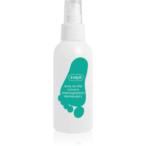 Ziaja Foot Care Fußspary 100 ml - Ziaja - Modalova