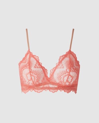 Lace Triangle Bralette Coral/Sand - | Bralettes - Bralettes / Triangle Bralette - Understatement - Modalova