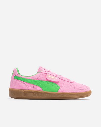 Palermo Special 41 - Delight- Green - Puma - Modalova