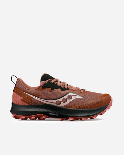 Peregrine 14 GTX 42,5 - CLOVE/BLACK - SAUCONY - Modalova