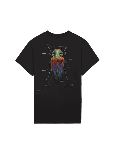 X Levon Biss Tricolored Jewel Beetle T-shirt - PANGAIA - Modalova