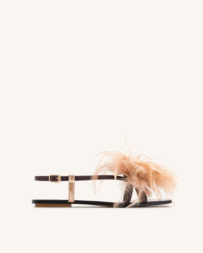 Fluffy Flats Sandals-Brown - JW PEI - Modalova