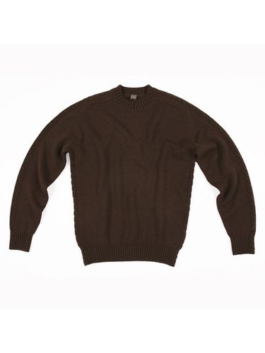 Cable Crewneck Knit Top Brown - IOLO - Modalova