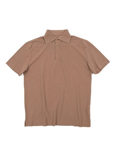 Hans Collar T-shirt Brown - IOLO - Modalova