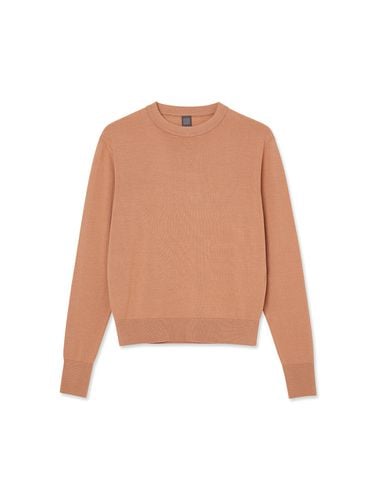 Women Woolsilk Crewneck Pink - IOLO - Modalova