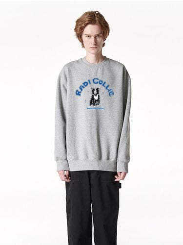 BLACK COLLIE SWEATSHIRT GREY - RADINEO - Modalova