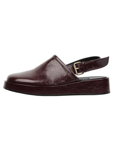 Elliot Croc Shoes Brown - SO.U:LESURES - Modalova