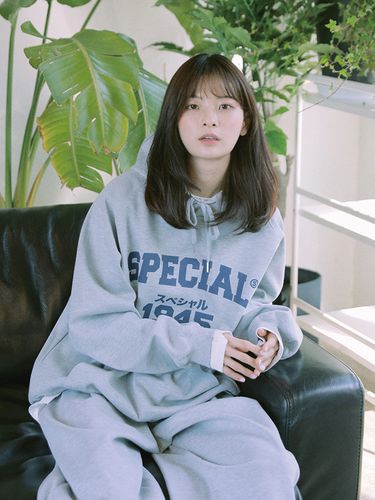 Special Logo Training Hoodie_Gray - FANACULT - Modalova