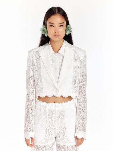 UMBO Lace Short Jacket (White) - EENK - Modalova