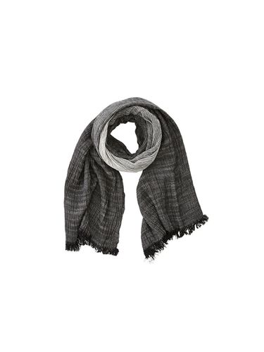 Striped Scarf _ Grey - STCO - Modalova