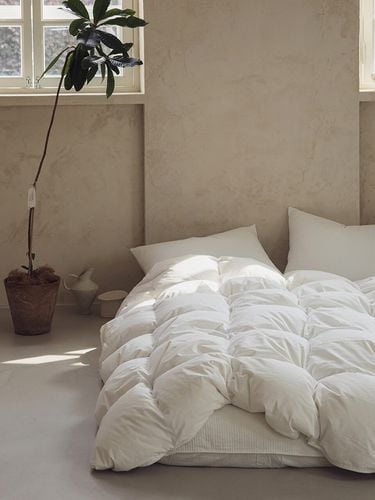 SS/Q] Winter Time Soft Cotton Comforter - maatila - Modalova