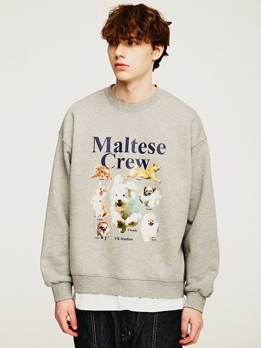 Maltese Crew Sweatshirt / Grey - WAIKEI - Modalova