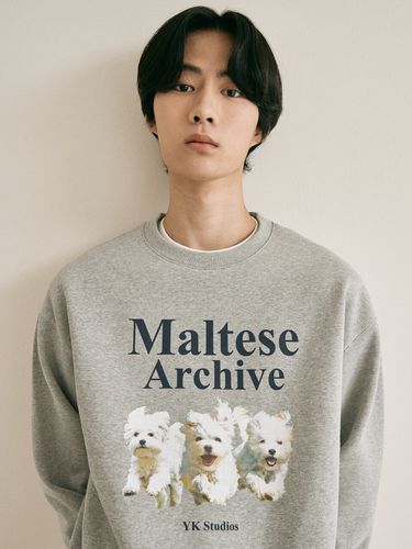 Maltese Archive Sweatshirt_Grey - WAIKEI - Modalova