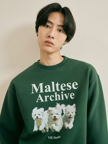 Maltese Archive Sweatshirt_Green - WAIKEI - Modalova