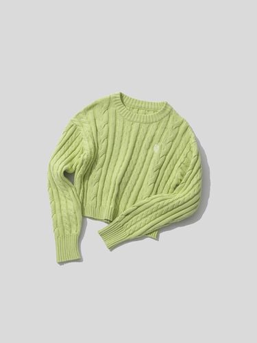 Cable Crop Knit Top - Light Green - PLAC - Modalova