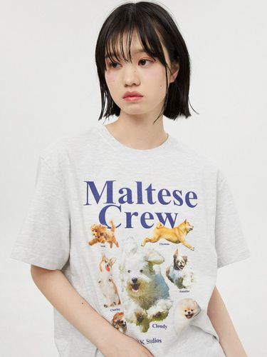 Maltese Crew Short Sleeve T-Shirt - WAIKEI - Modalova