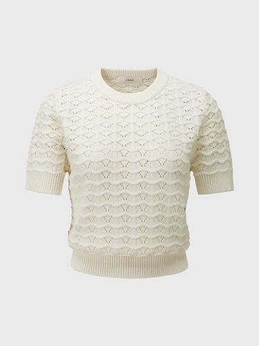 Shell Patterned Pullover Sweater - L’H.A.S - Modalova