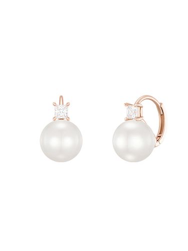 Basic Perlina 14K Earring JJP1EI3BS205R4000 - J.ESTINA - Modalova