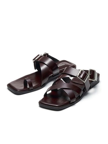 Dino Slides - Dark Brown - COAGMENT - Modalova