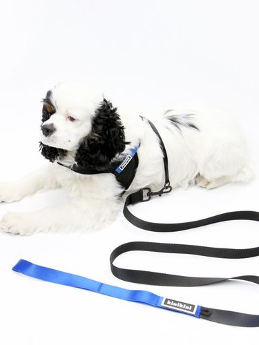 Black/Blue] Signature Leash - KINIKINI - Modalova