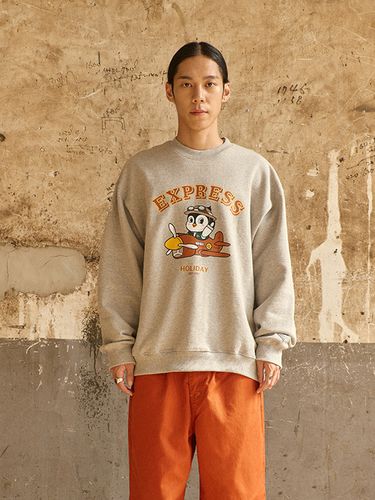 Airplane Penguin Sweatshirts _ - EXPRESS HOLIDAY - Modalova