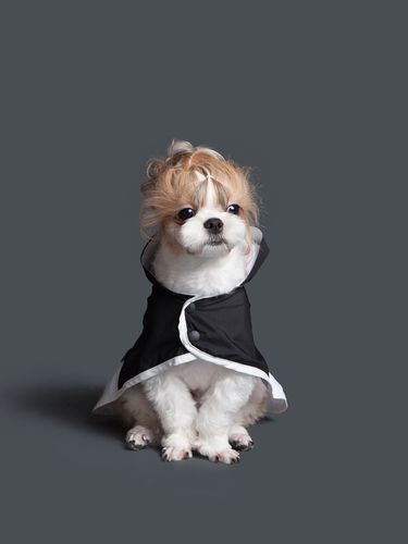 Black] Wind And Rain Proof Cape - POOCH - Modalova